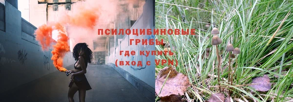 мет Верхний Тагил