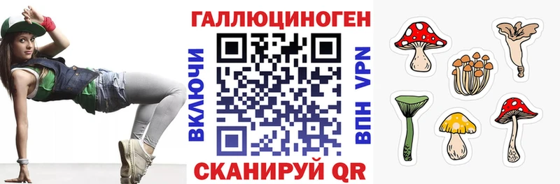 Галлюциногенные грибы GOLDEN TEACHER  где купить наркотик  Рузаевка 